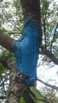 DSC_0139.JPG