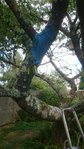 DSC_0140.JPG