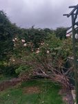 IMAG0302.jpg