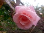 IMAG0291.jpg