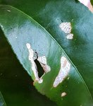 20180918_104838.jpg