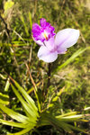IMG_0368.jpg