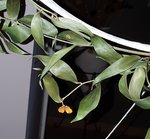 20180921_105001 (2).jpg