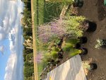 IMG_0267.jpg
