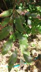 20180926_154829.jpg