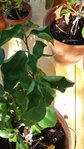 20180926_160430.jpg