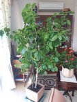 20181001_102255.jpg