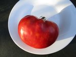 Taches blanches tomate.jpg