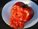 Tâches blanches tomate 2.jpg