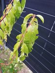 IMG_20181002_184916.jpg