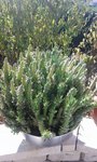 IMG-20181005-WA0003.jpg