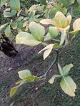 20181006_190756.jpg