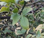 20181007_110506.jpg