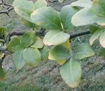 20181007_110620.jpg