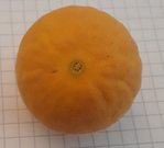 20181007_110755.jpg