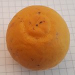 20181007_110736.jpg