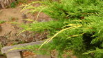 P1120135.JPG