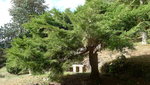 P1120137.JPG