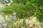 P1120139.JPG