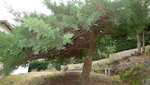 P1120141.JPG