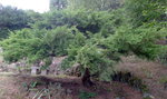 P1120140.JPG