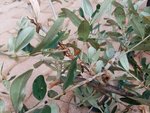 20181007_164559.jpg