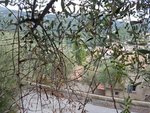 20181007_164657.jpg