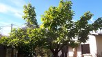 20181012_155921_resultat.jpg