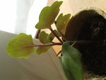 20181010_124628.jpg