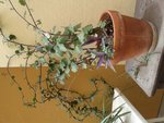 20180916_144734.jpg