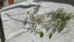 20181012_161811_resultat.jpg