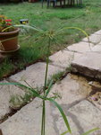 IMG_20181014_113741.jpg