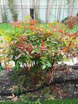 IMG_20181014_141557.jpg