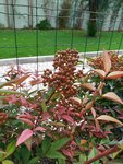 IMG_20181014_141601.jpg