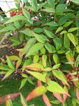 IMG_20181014_141609.jpg