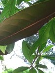 P_20181018_180226.jpg