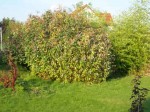 100_0102.jpg