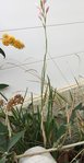IMG_5320.JPG
