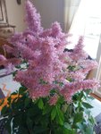 Resized_20180926_124047_8299.jpg