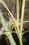 IMG_20181024_105112478.jpg