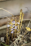 IMG_5717.jpg