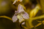 IMG_5720.jpg