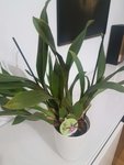 20181104_190536.jpg