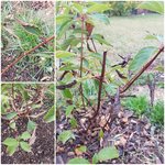 20181106_082018-min.jpg