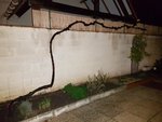 rps20181115_082153.jpg