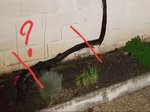20181115_083310.jpg