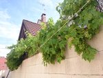rps20181115_083140.jpg