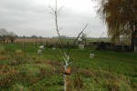 poids pour lester les branches