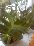 Image72.jpeg