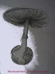 amanite 5.JPG